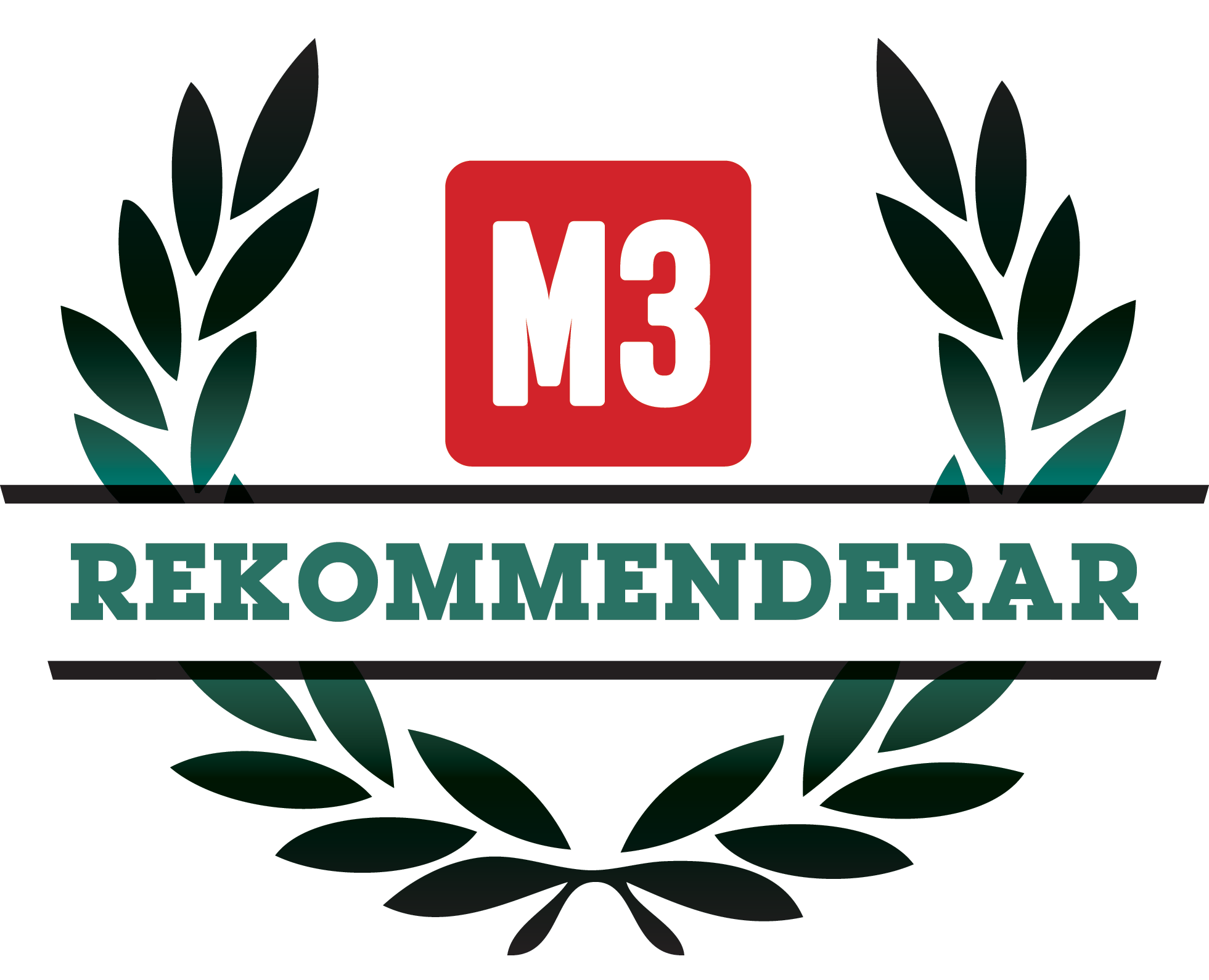 M3 rekommenderar - Test hörlurar